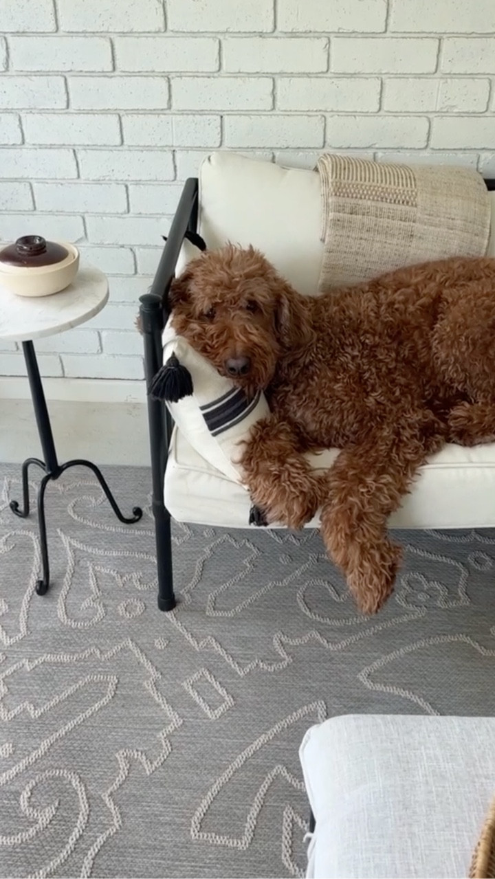 My latest outdoor living finds… from rugs to stoneware, citronella candles, and string lights!


#LTKHome #LTKSeasonal