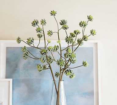Faux Flowering Succulent Branch | Pottery Barn (US)