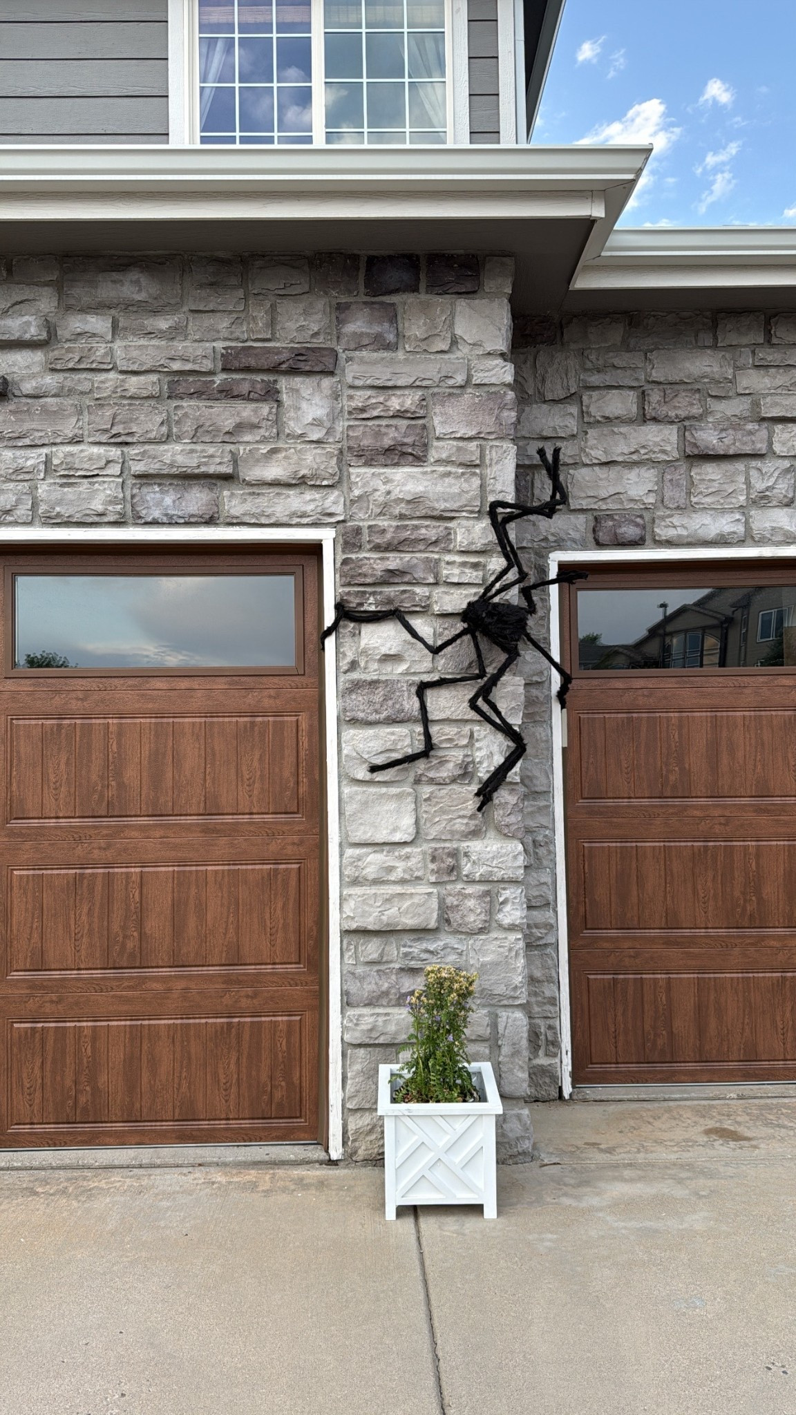 6 1/2 feet giant spiders for Halloween

#LTKSeasonal #LTKHome #LTKFindsUnder50