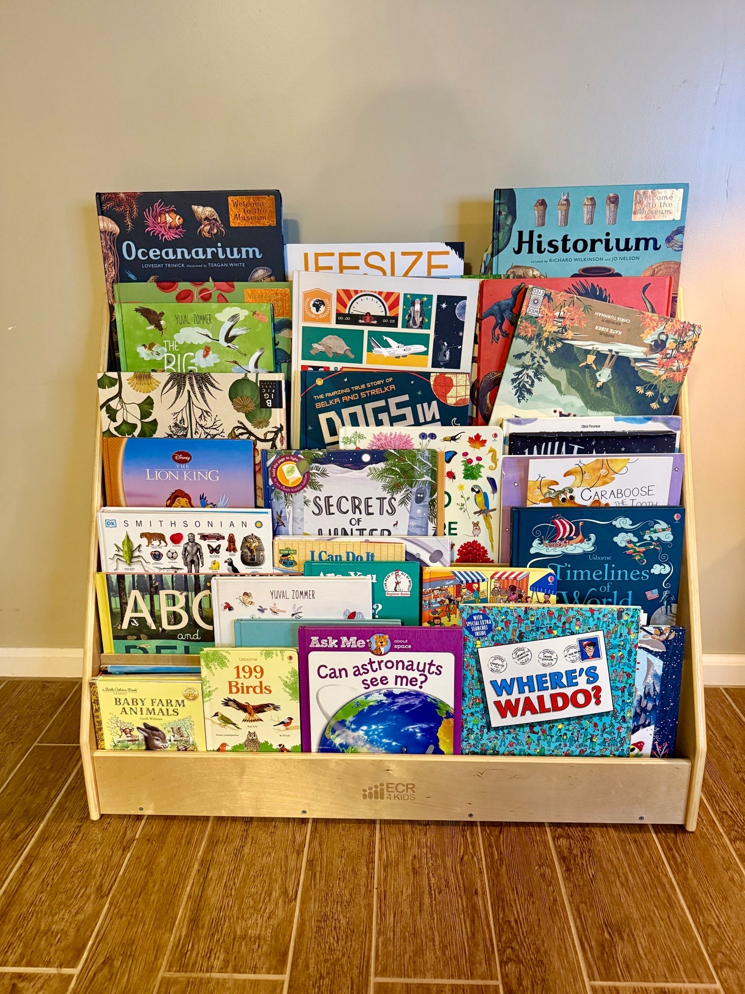 Love everything ECR4Kids — we have a couple more of their shelves plus a cubby + hook setup for coats, backpacks, hats, all the things 🙃
Super sturdy, kid-friendly, and it actually holds up to real life.

This book display is one of our favorites. Front-facing so the kids can see the covers and grab books on their own.

✨ Regularly $200
→ as low as $80 for the grey wash
We have the natural finish, and it’s been such a good buy.

I tagged some of the books we keep in here too 🤍

#LTKKids #LTKHome #LTKSaleAlert