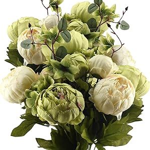 FiveSeasonStuff Mixed Cream Beige and Moss Green Vintage Artificial Silk Flower Peonies 2 Bouquet... | Amazon (US)