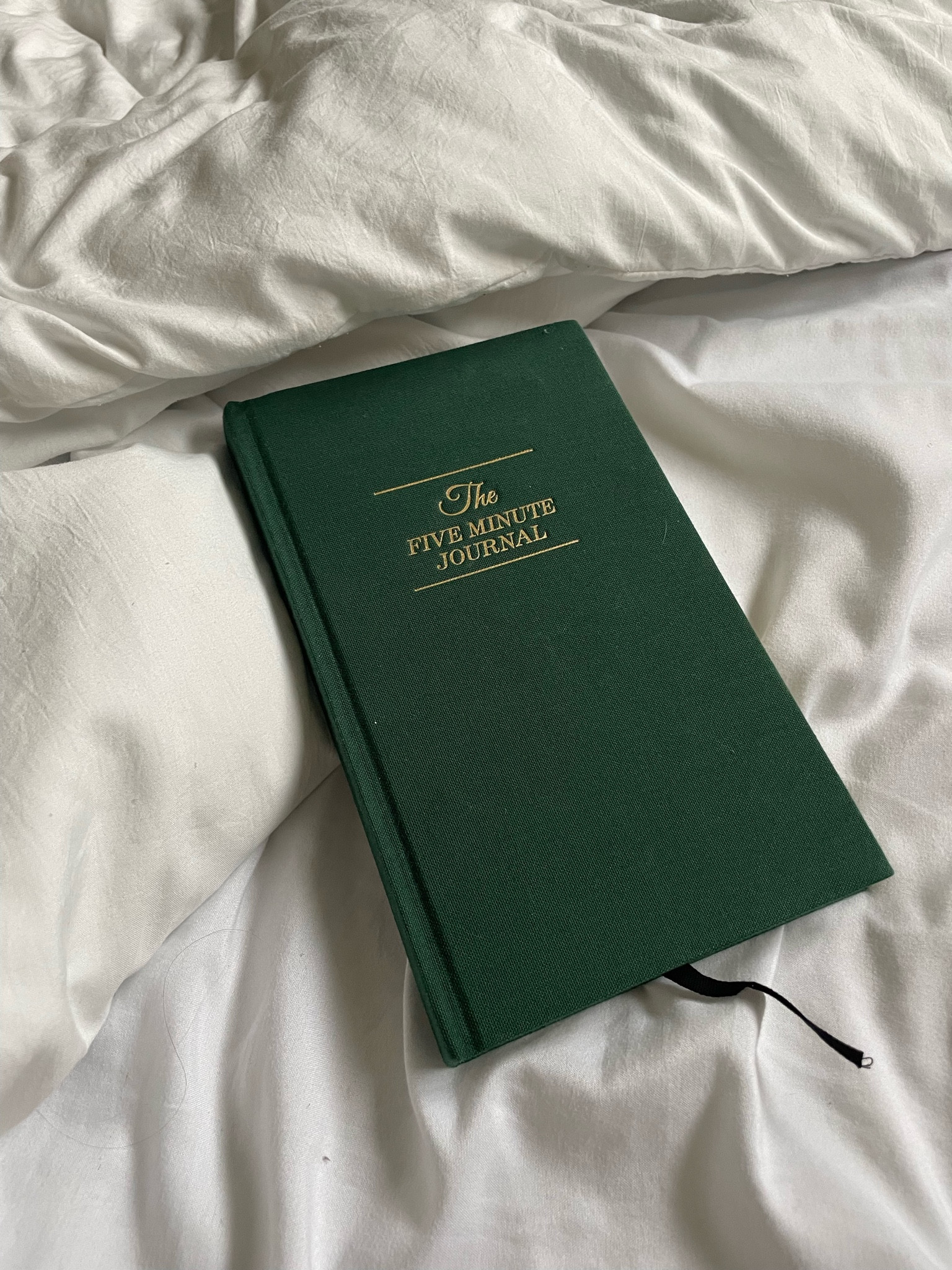 The best last minute Christmas gift idea! 🫶🏻✍🏻📚

#LTKHoliday #LTKGiftGuide #LTKfindsunder50