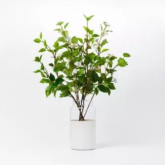 16" x 18" Artificial Kerria Japonica in Glass Vase - Threshold™ designed with Studio McGee | Target