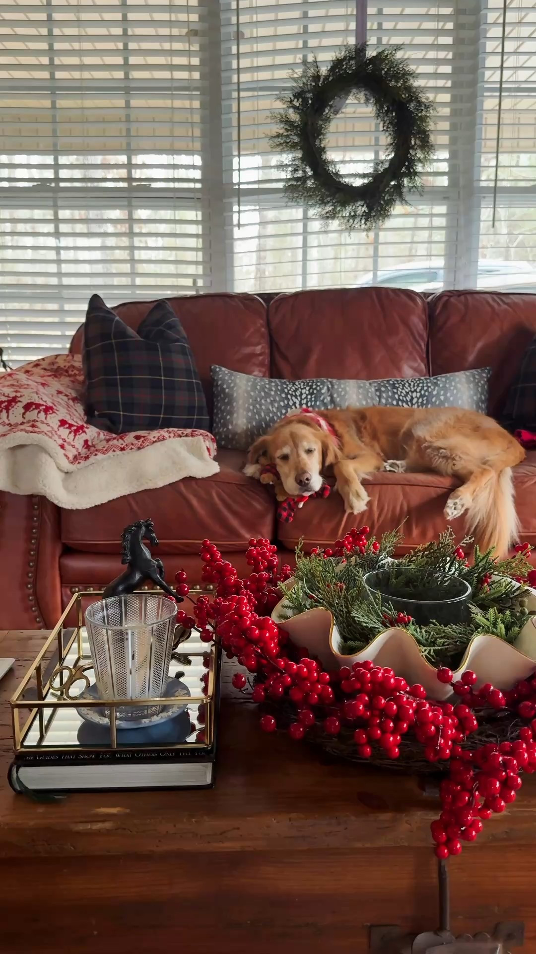 Christmas decor
Classic Christmas decor
Christmas blanket golden retriever 
Plaid pillows 
Ralph Lauren Christmas 

#LTKHoliday