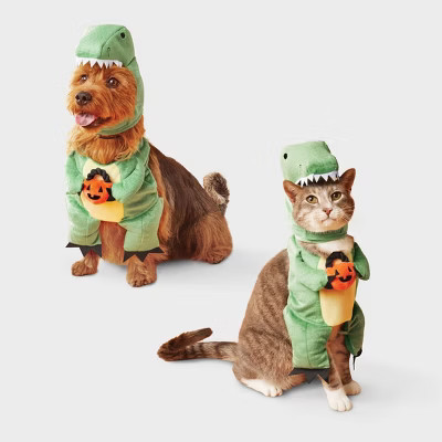 Dino with Pumpkin T-Rex Pail Dog and Cat Frontal Costume - Boots & Barkley™ Light Green XS | Target