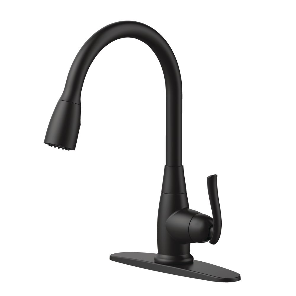 Danze Terrazo 1-Handle Pull Down Kitchen Faucet, Matte Black | Canadian Tire