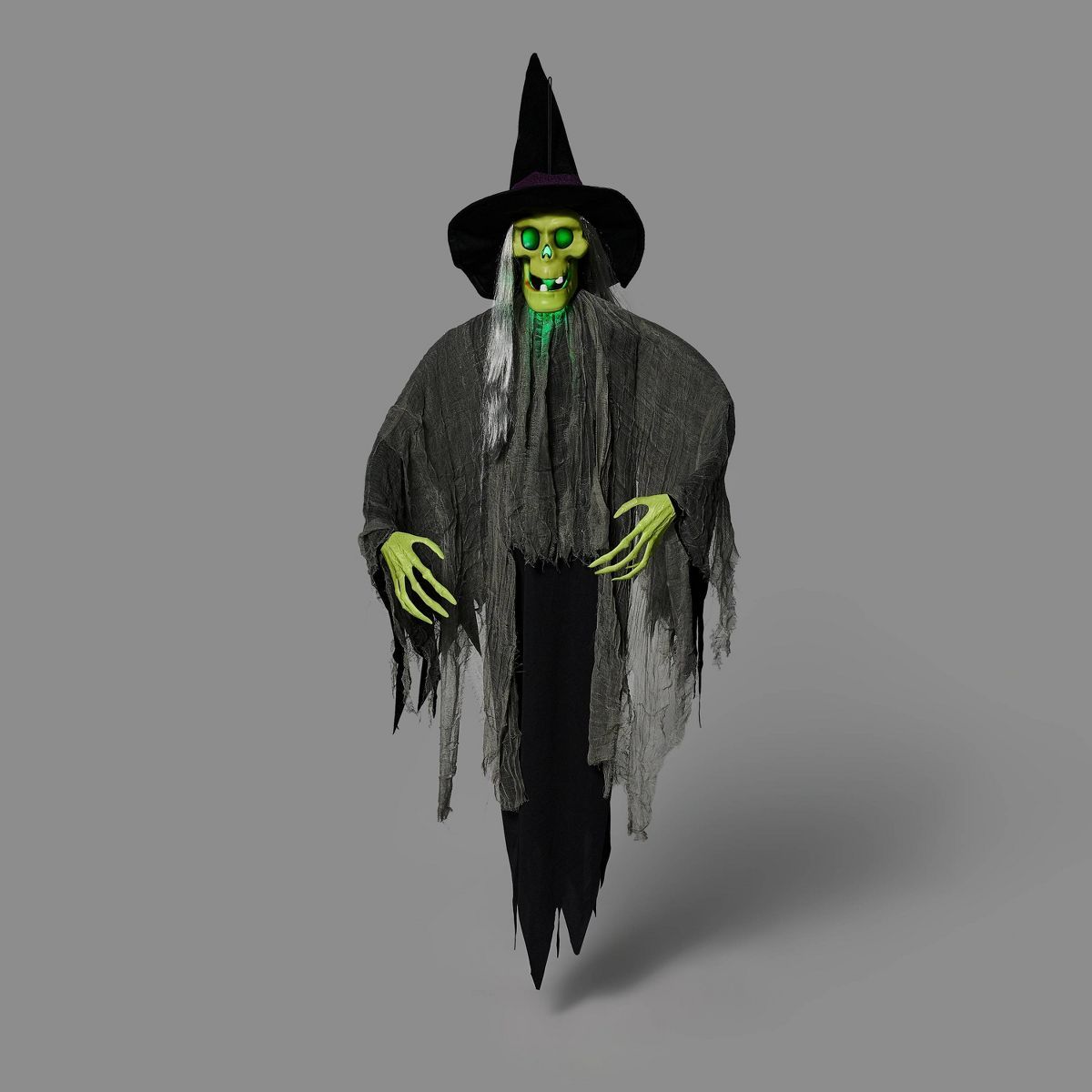 Light and Sound Witch Halloween Ghoul - Hyde & EEK! Boutique™ | Target