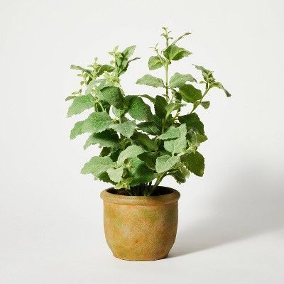 Artificial in Pot Mint Leaf - Threshold™ designed with Studio McGee | Target