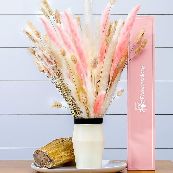 90pcs Dried Pampas Grass | Set of Soft White Pampas, Pink Pampas, and Bunny Tails | Luxurious Pla... | Amazon (US)