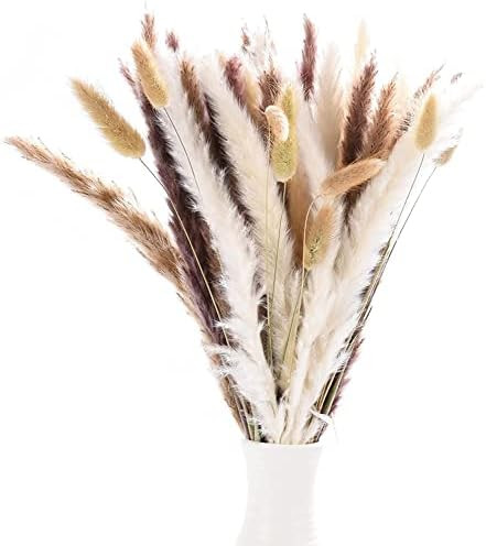 Pampas Misti | Amazon (IT)