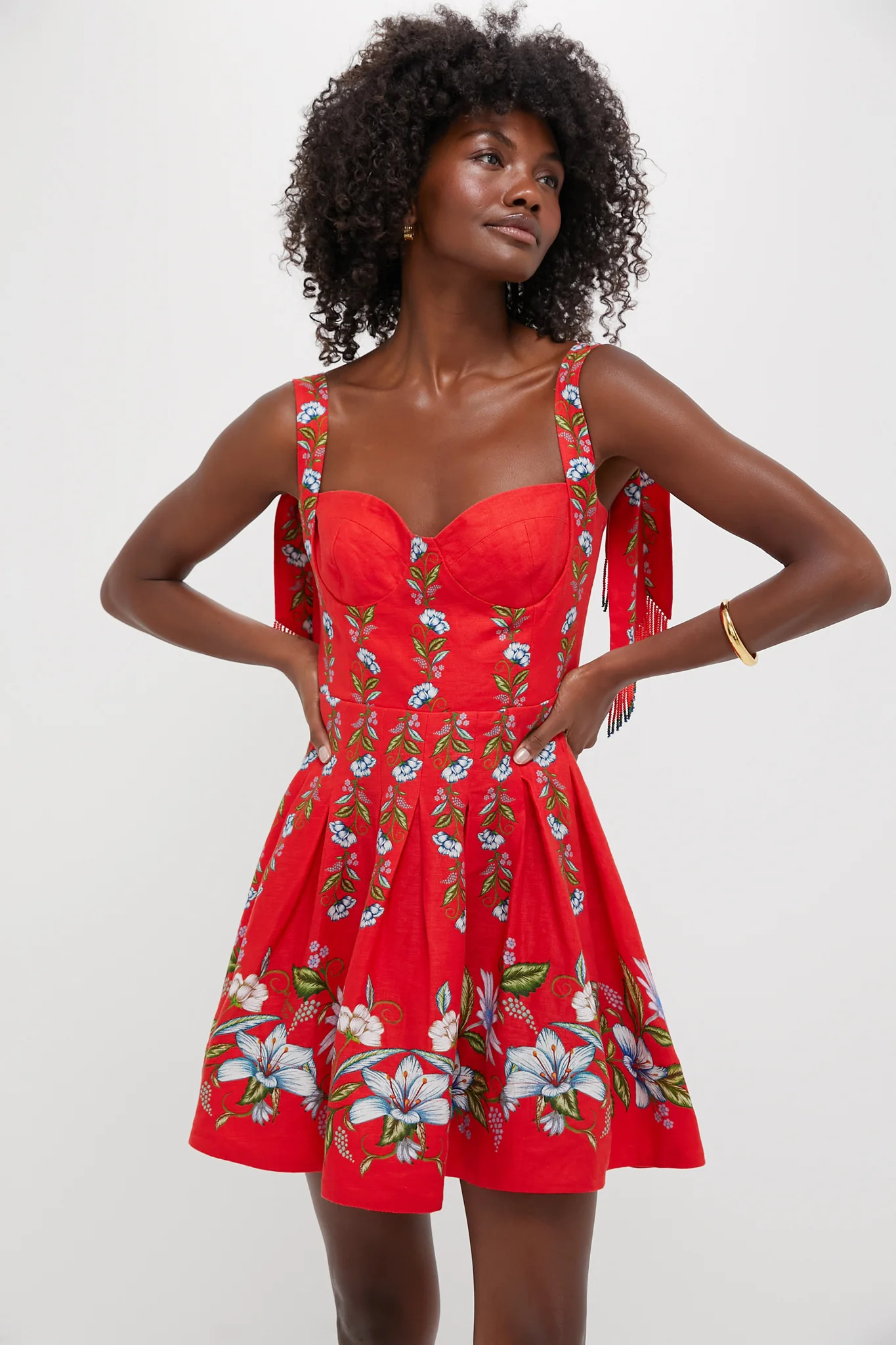 Sweet Bloom Bouquet Red Sleeveless Mini Dress | Tuckernuck (US)