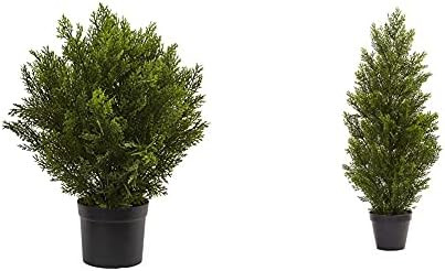 Nearly Natural 6880 2’ Cedar Artificial Bush (Indoor/Outdoor), Green & 3’ Mini (Indoor/Outdoo... | Amazon (US)