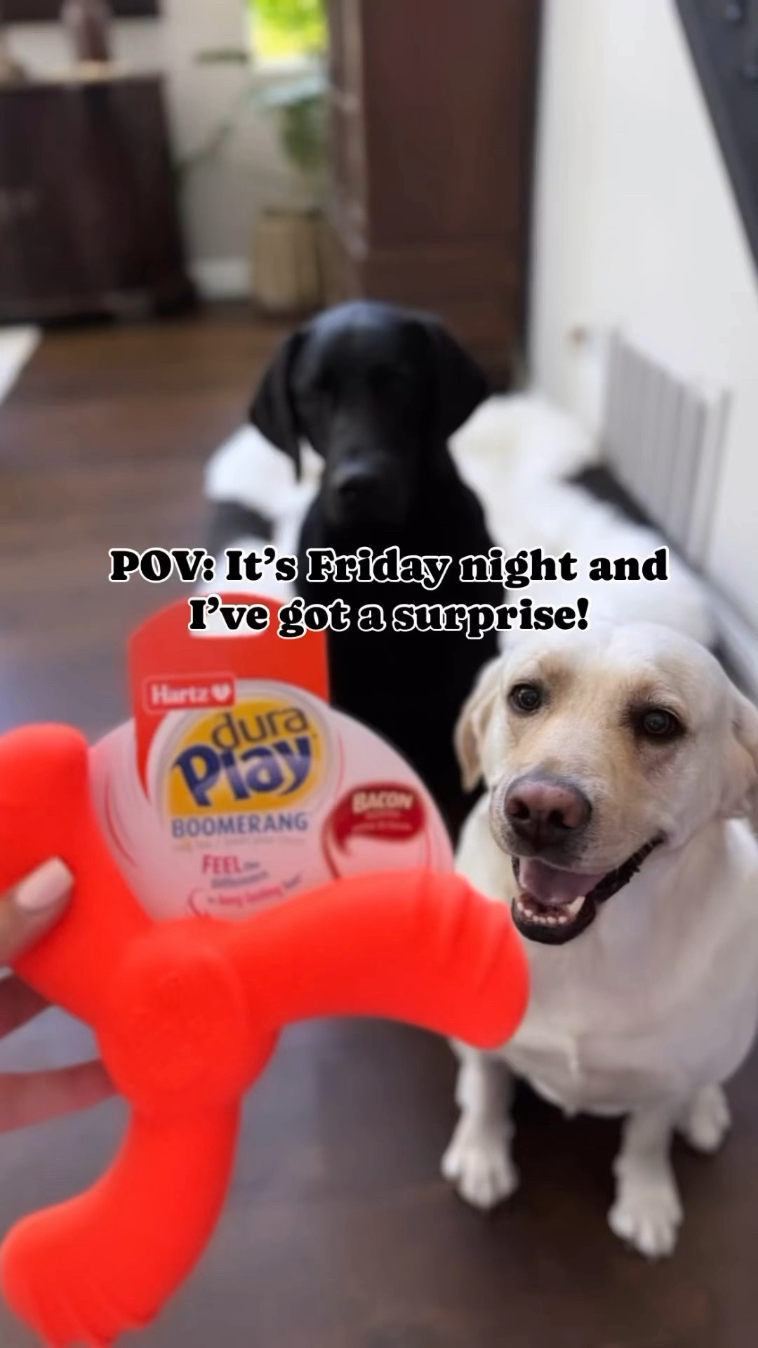 HARTZ bacon-scented squeaky boomerang: my dogs’ fave! They love the whole bacon-scented line!

#LTKU