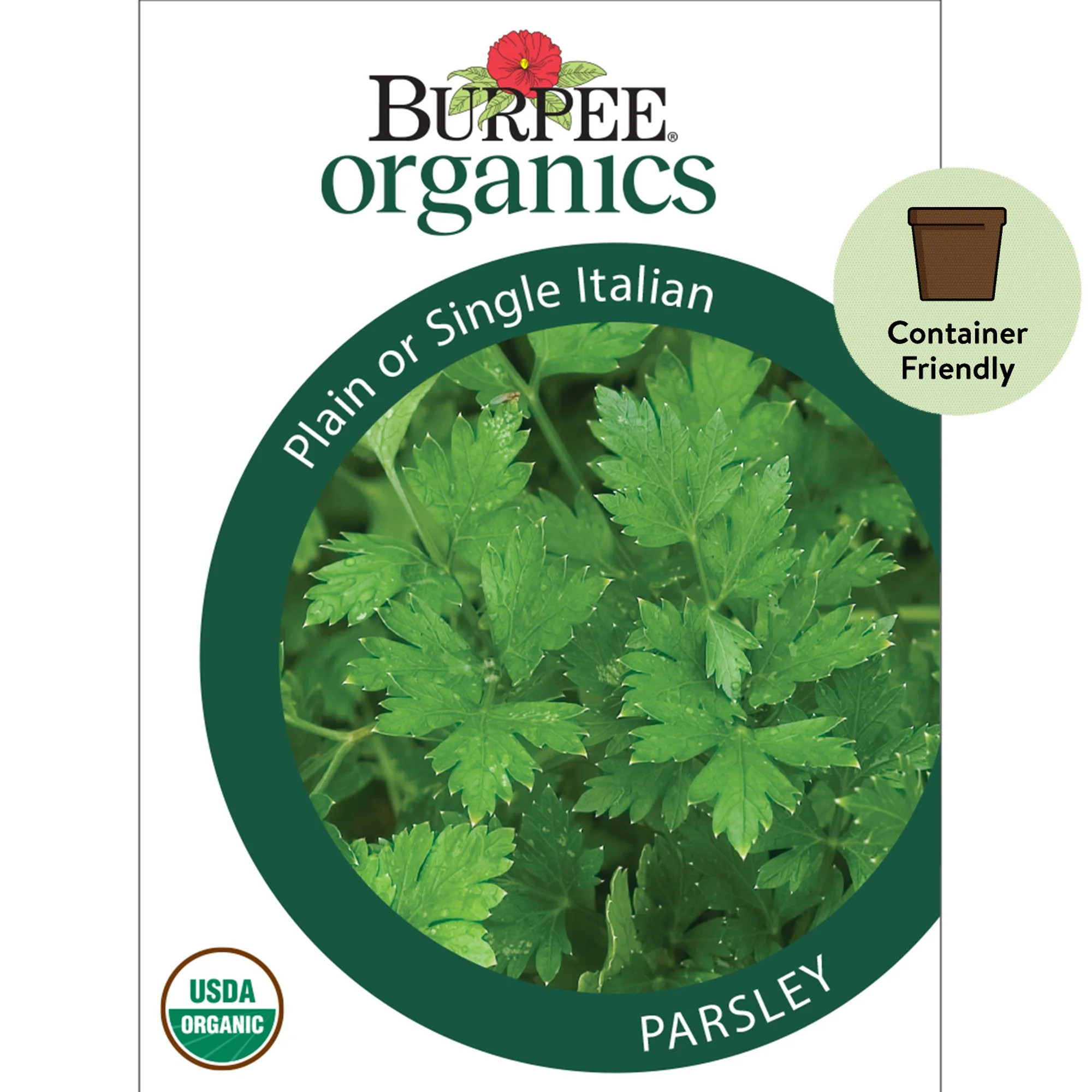 Burpee Organic Plain or Single Italian Parsley Herb Seed, 1-Pack,Full Sun, Annual | Walmart (US)