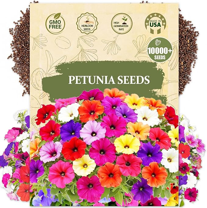 Petunia Seeds for Planting - 10,000+ Grandiflora Mixed Colors - Non-GMO Heirloom - Double & Large... | Amazon (US)