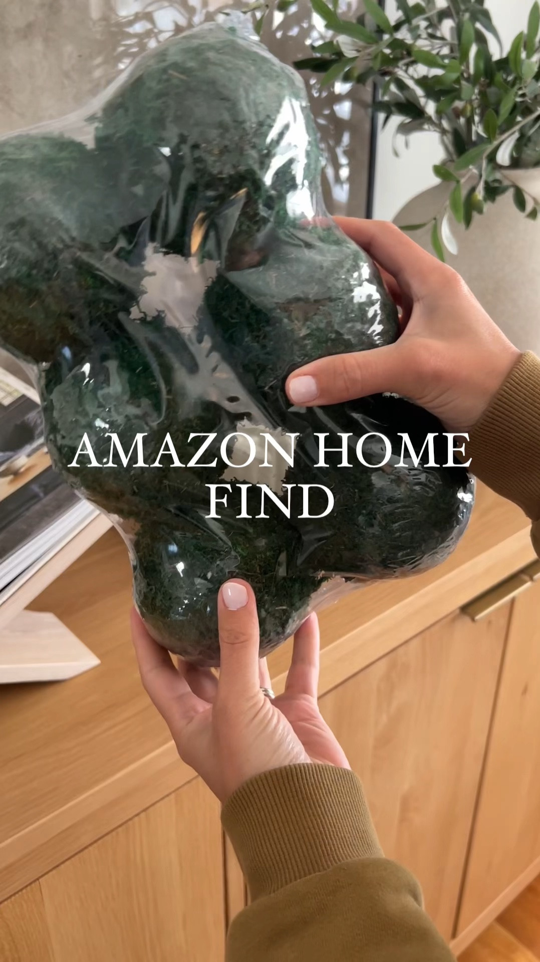 Perfect addition for spring are these moss balls!


#LTKHome #LTKFindsUnder50 #LTKStyleTip