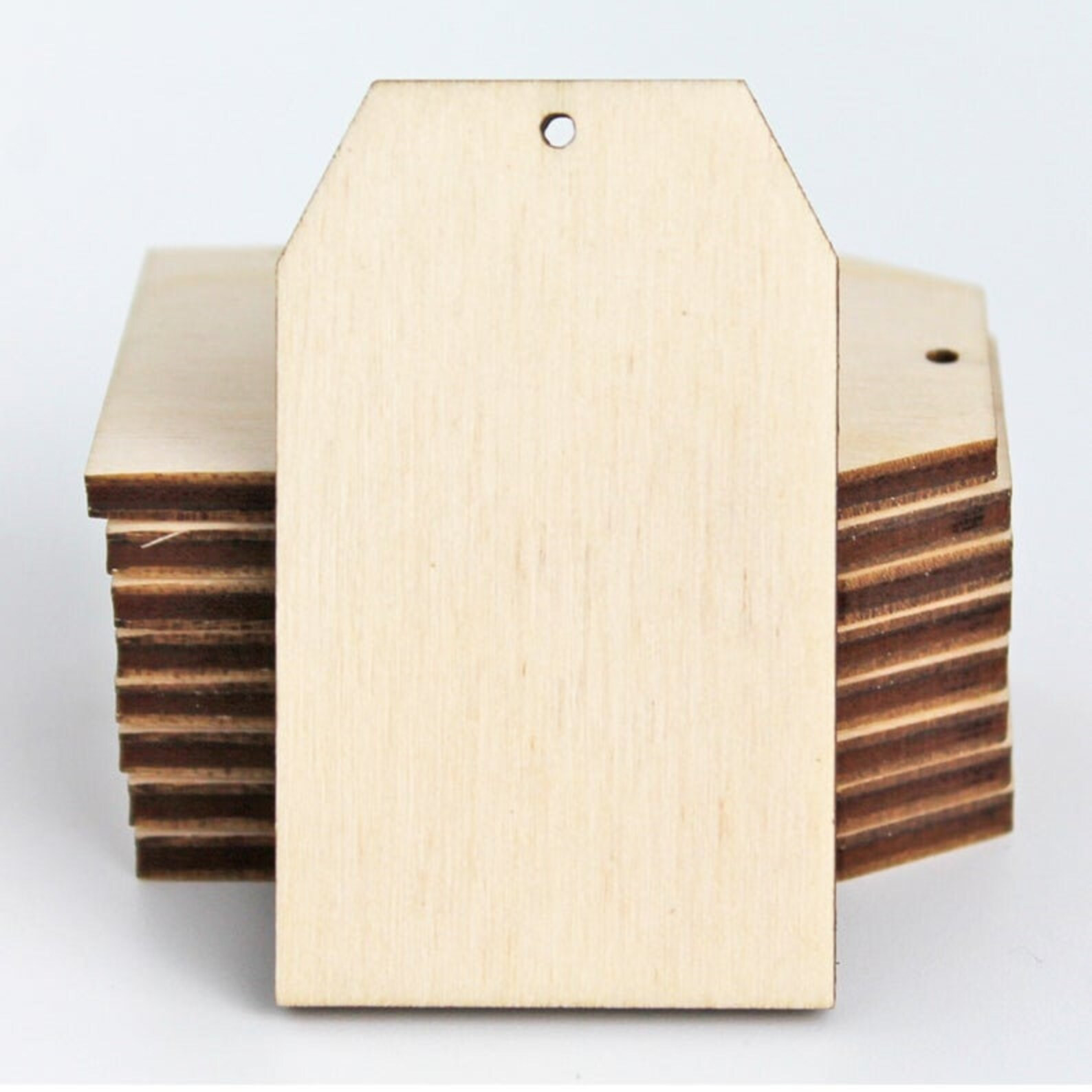 6-Pack TAGS  with/without Holes Unfinished Wood Cutout DIY Crafts Door Hanger Ready to Paint Cut ... | Etsy (US)