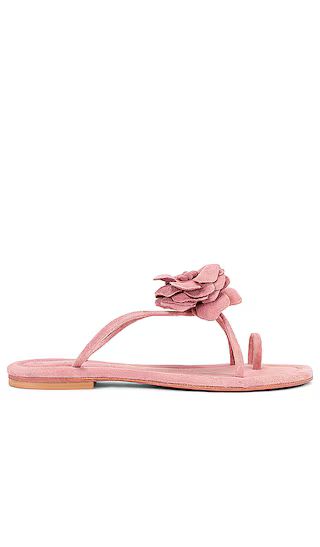 Tropico Sandal in Light Pink Suede | Revolve Clothing (Global)