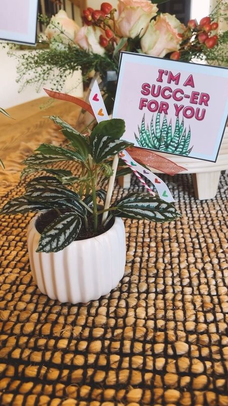 Where are all my plant lovers at?!  I LOVE these plant themed valentines!  So fun for a Galentines Day Party or teacher gift! 

#LTKparties #LTKfamily #LTKMostLoved