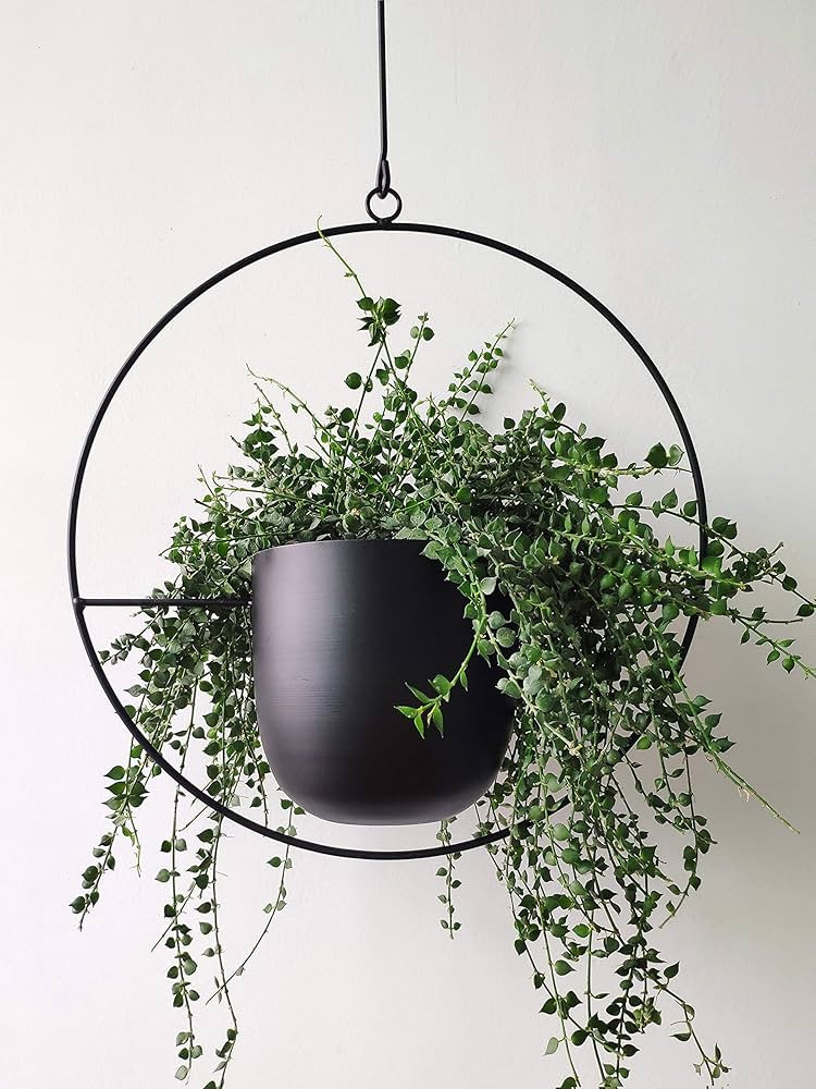 RISEON Boho Black Metal Plant Hanger,Metal Wall and Ceiling Hanging Planter, Modern Planter, Mid ... | Amazon (US)