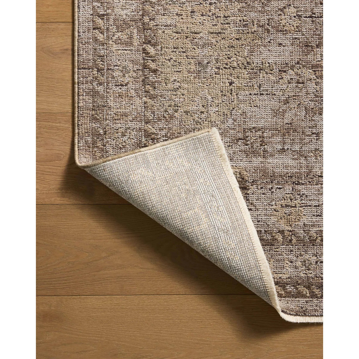 Jacobo Sand / Earth Area Rug | Wayfair North America