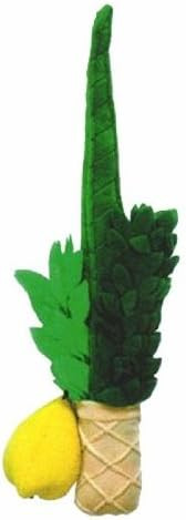 Soft Lulav And Etrog For Kids | Amazon (US)