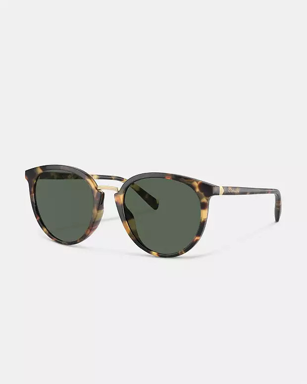 Hangtag Round Sunglasses | Coach Outlet US