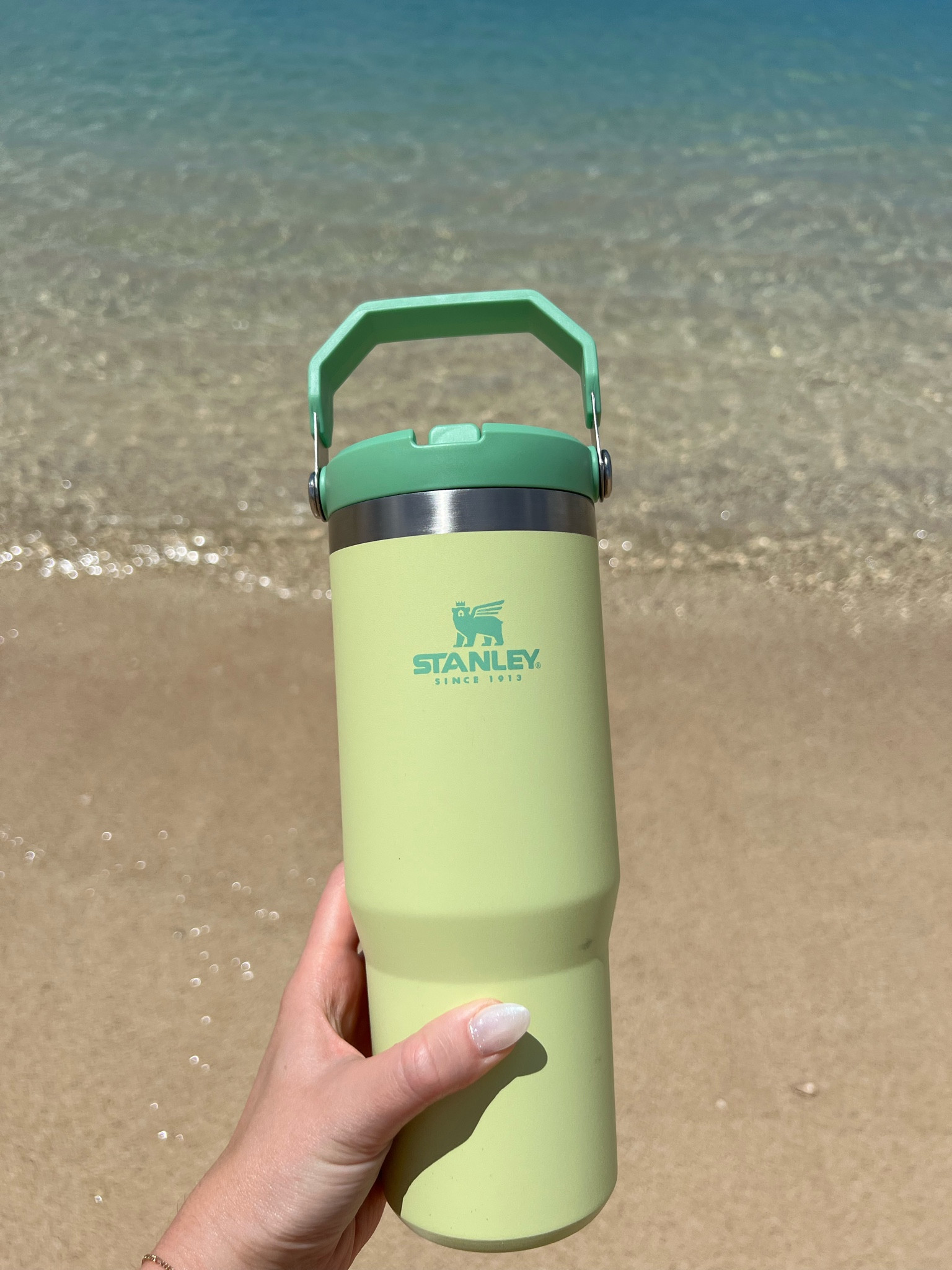 Stanley 30 oz ice flow flip straw tumbler☀️🌴