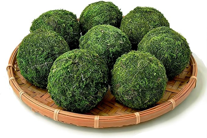Moss Balls Decorative 3.5‘’ Set of 8,Large Green Moss Balls Decorative for Bowl fillers,Natur... | Amazon (US)