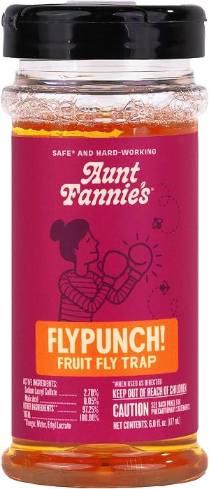 Aunt Fannie's FlyPunch Fruit Fly Trap, Indoor Kitchen Use, 6 oz, Pack of 1 | Amazon (US)