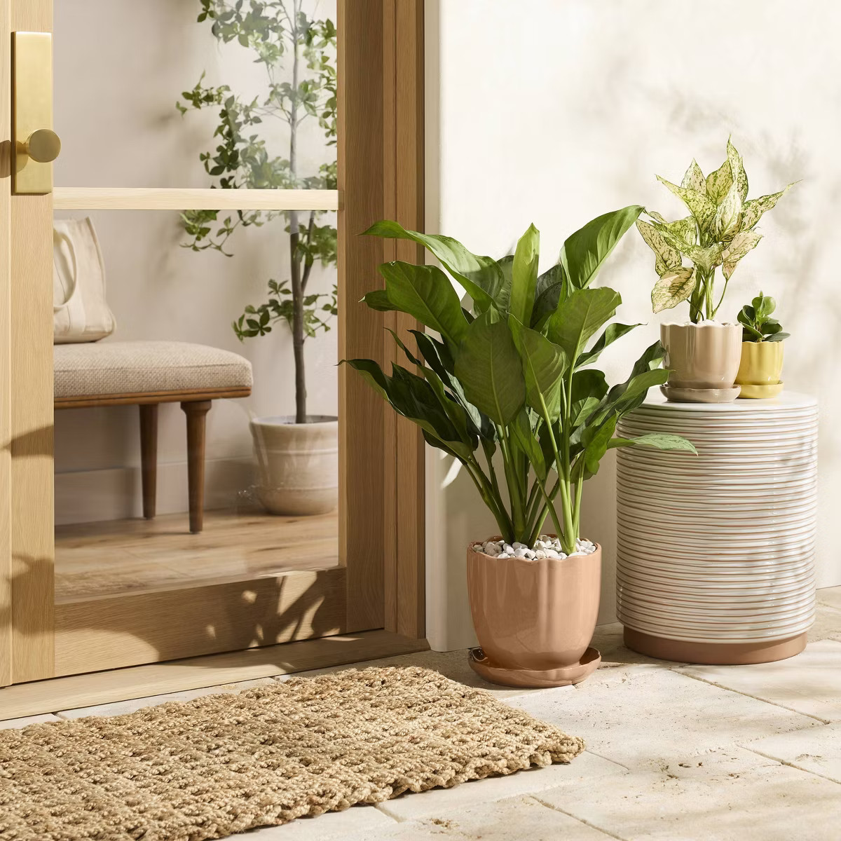 Scalloped Edge Stoneware Indoor/Outdoor Planter Pot with Saucer - Hearth & Hand™ with Magnolia | Target