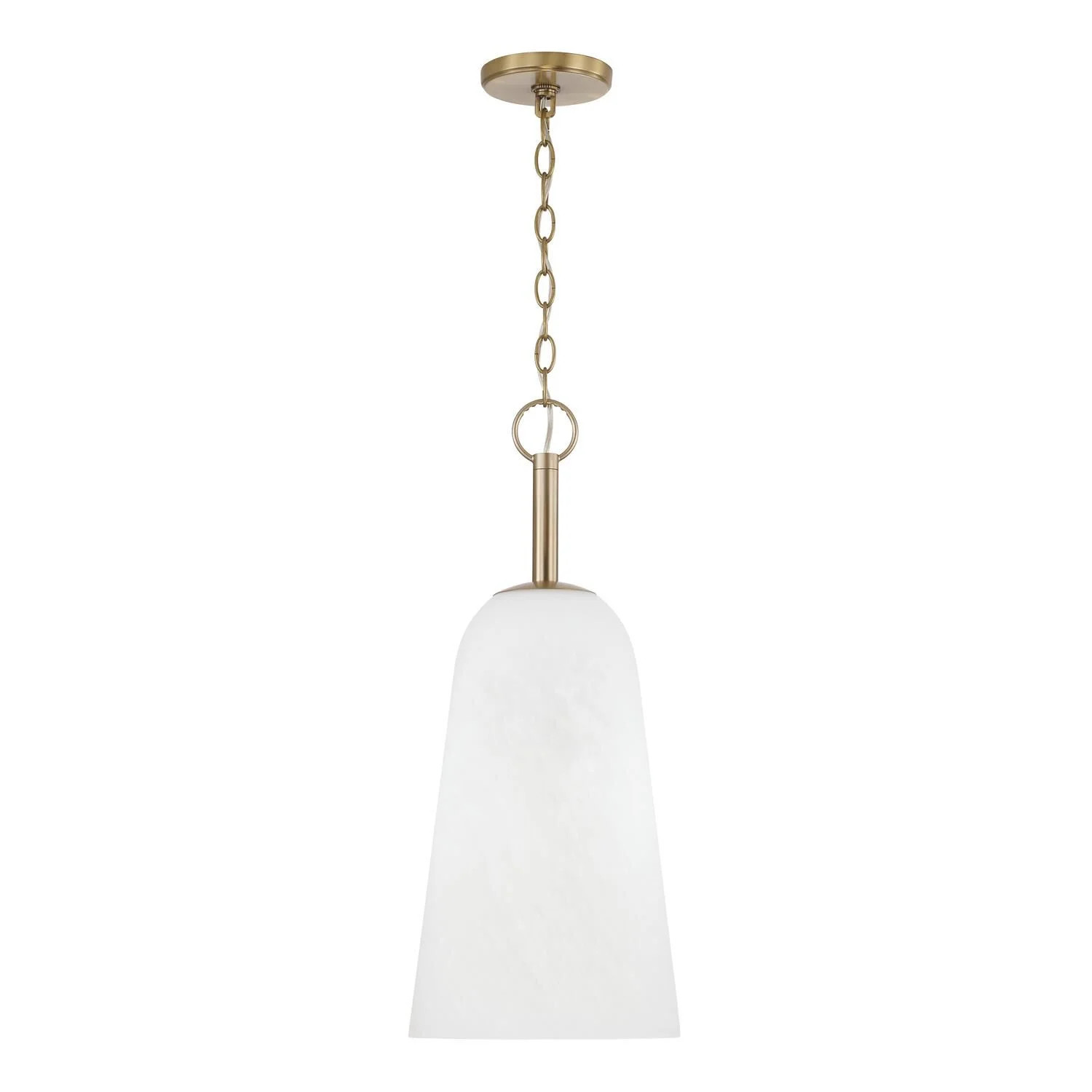 Romy 10 Inch Mini Pendant by Capital Lighting Fixture Company - Clearance | 1800 Lighting