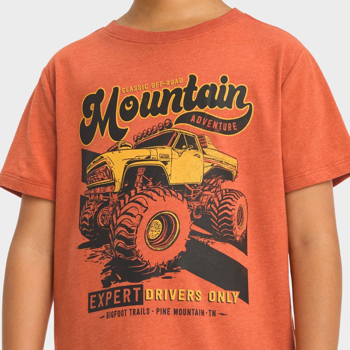 Boys' Short Sleeve Monster Truck 'Expert Drivers Only' Graphic T-Shirt - Cat & Jack™ Brown | Target