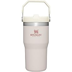 Stanley IceFlow Stainless Steel Tumbler with Straw, Vacuum Insulated Water Bottle for Home, Offic... | Amazon (US)