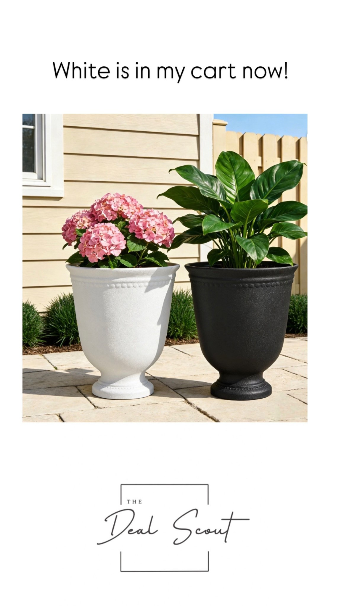 In my cart now! 

#LTKSeasonal #LTKHome #LTKselfcare