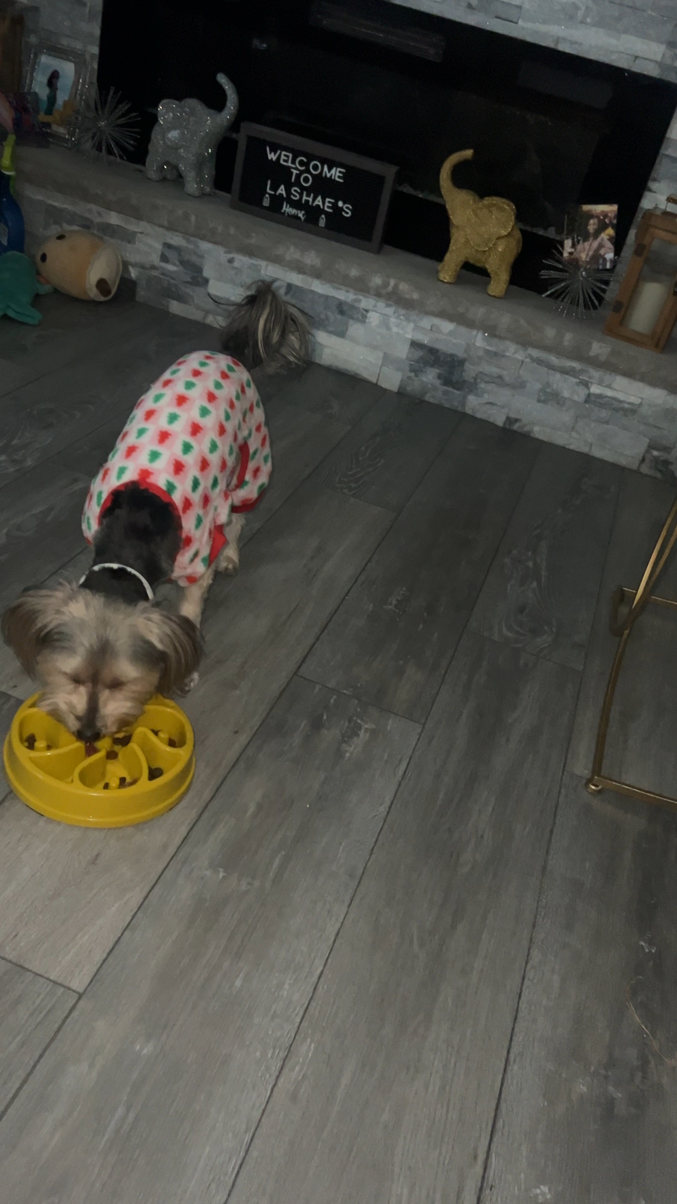 OK, since we’re snowed in, I found the perfect activity to keep my dog busy and from begging me to play fetch with him all day. Se

#LTKdayinmylife #LTKHome