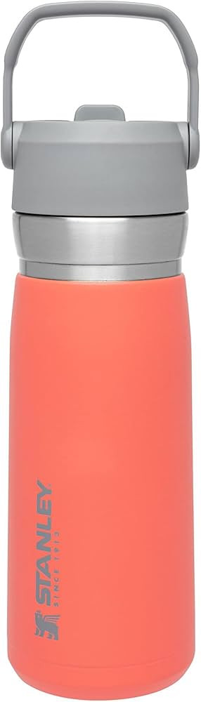 Stanley IceFlow Stainless Steel Bottle with Straw, Vacuum Insulated Water Bottle for Home, Office... | Amazon (US)