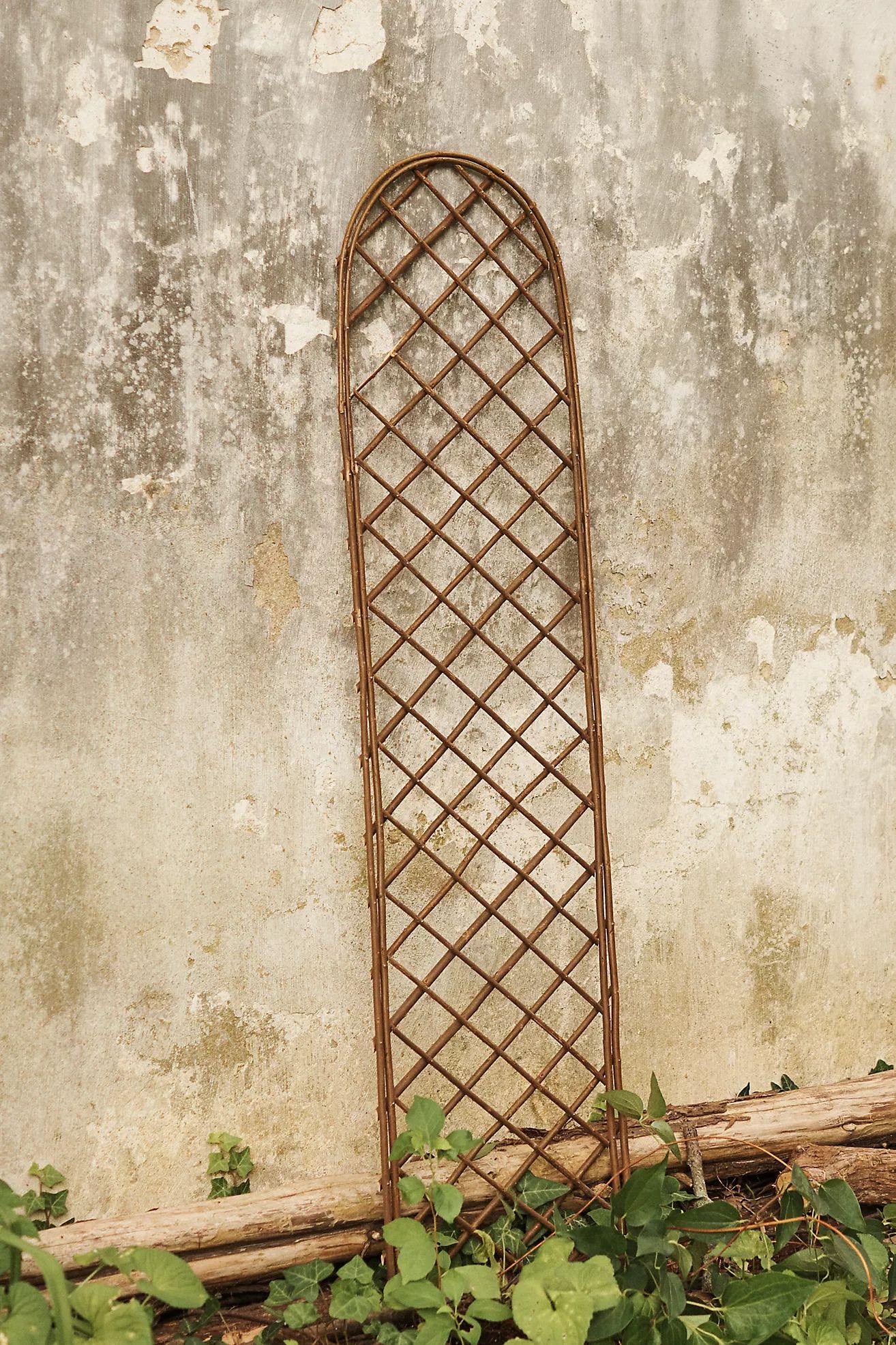 Rounded Top Willow Trellis, Small | Anthropologie (US)