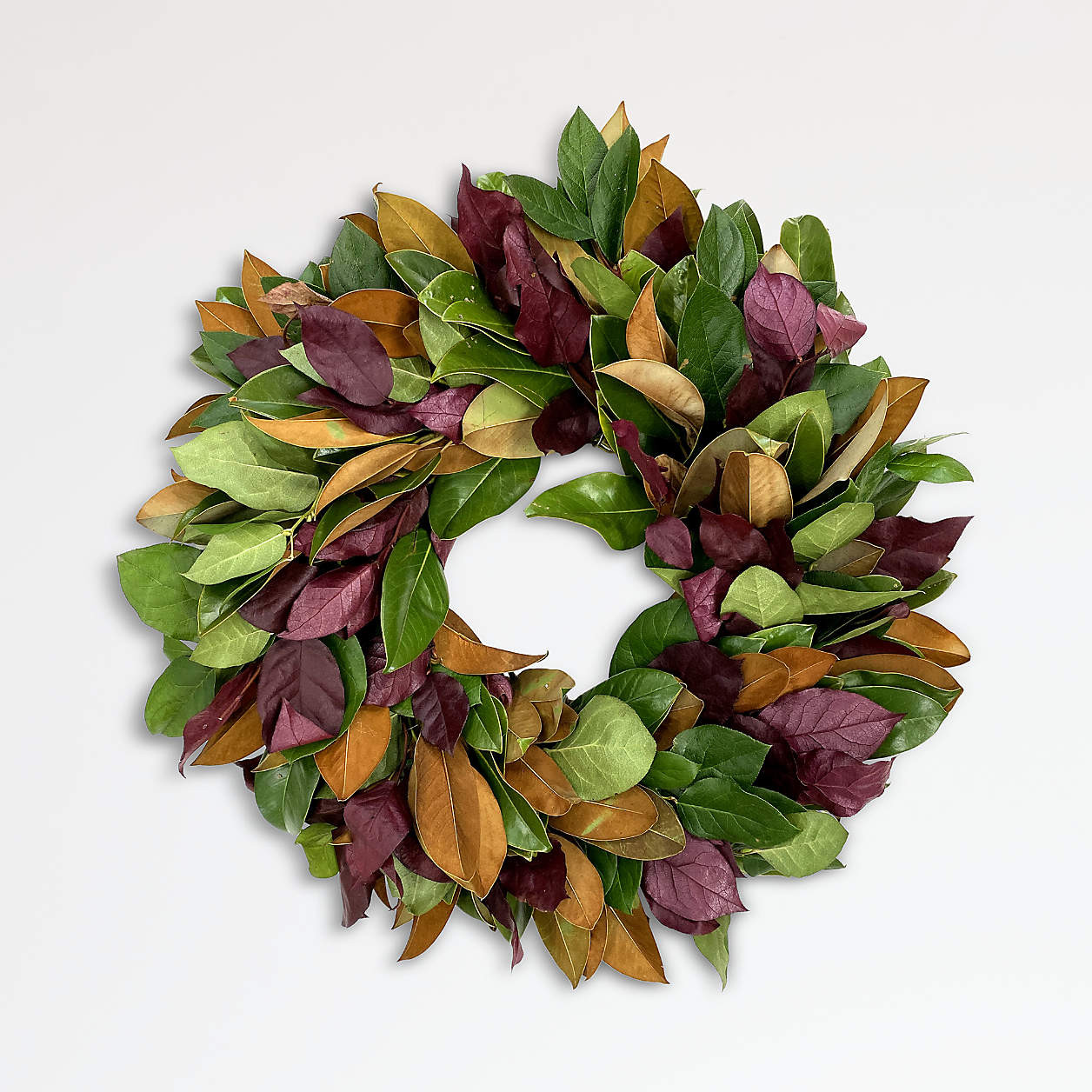 Live Magnolia Wreath 22" + Reviews | Crate & Barrel | Crate & Barrel