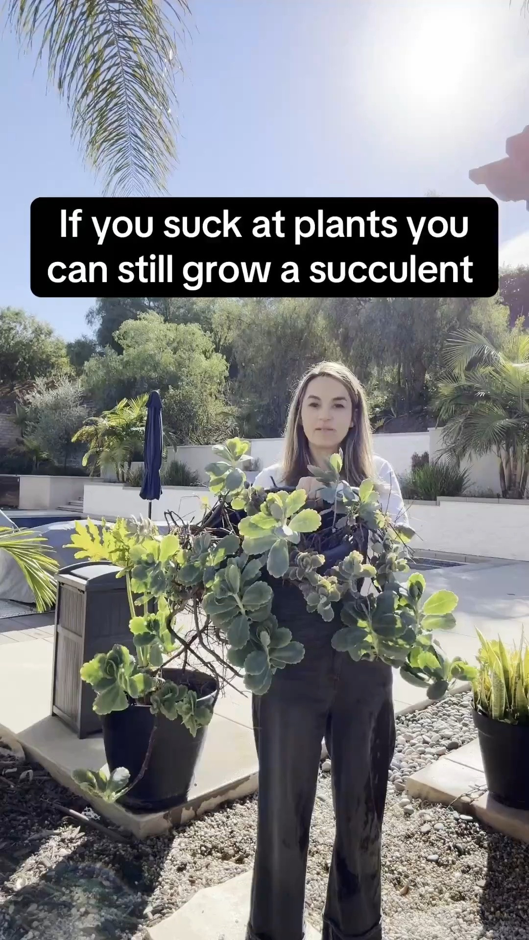 Easy Succulent Arrangement DIY!

Planting succulents is so satisfying! 🌵 Did you know they’re one of the easiest plants to propagate? Perfect for beginners 🪴✨ #DIYGarden”