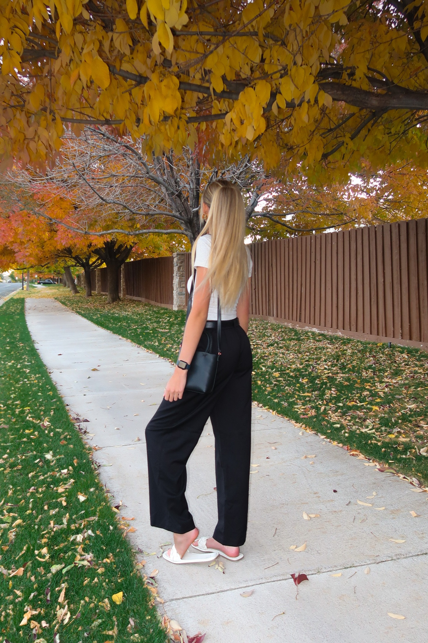 Pants - S
Shirt - S 



#LTKGiftGuide #LTKstyletip #LTKfindsunder50