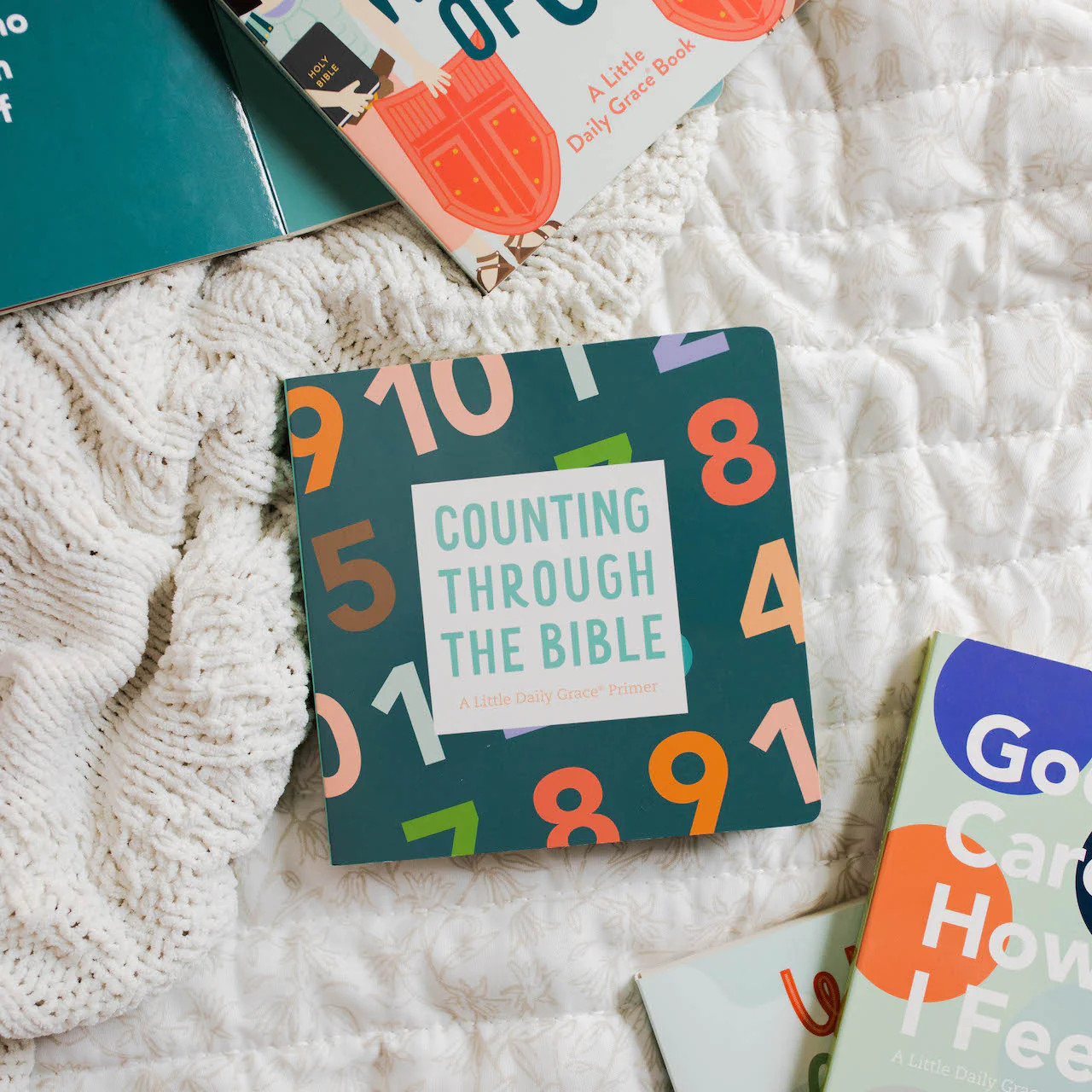 Counting Through the Bible Board Book | The Daily Grace Co.