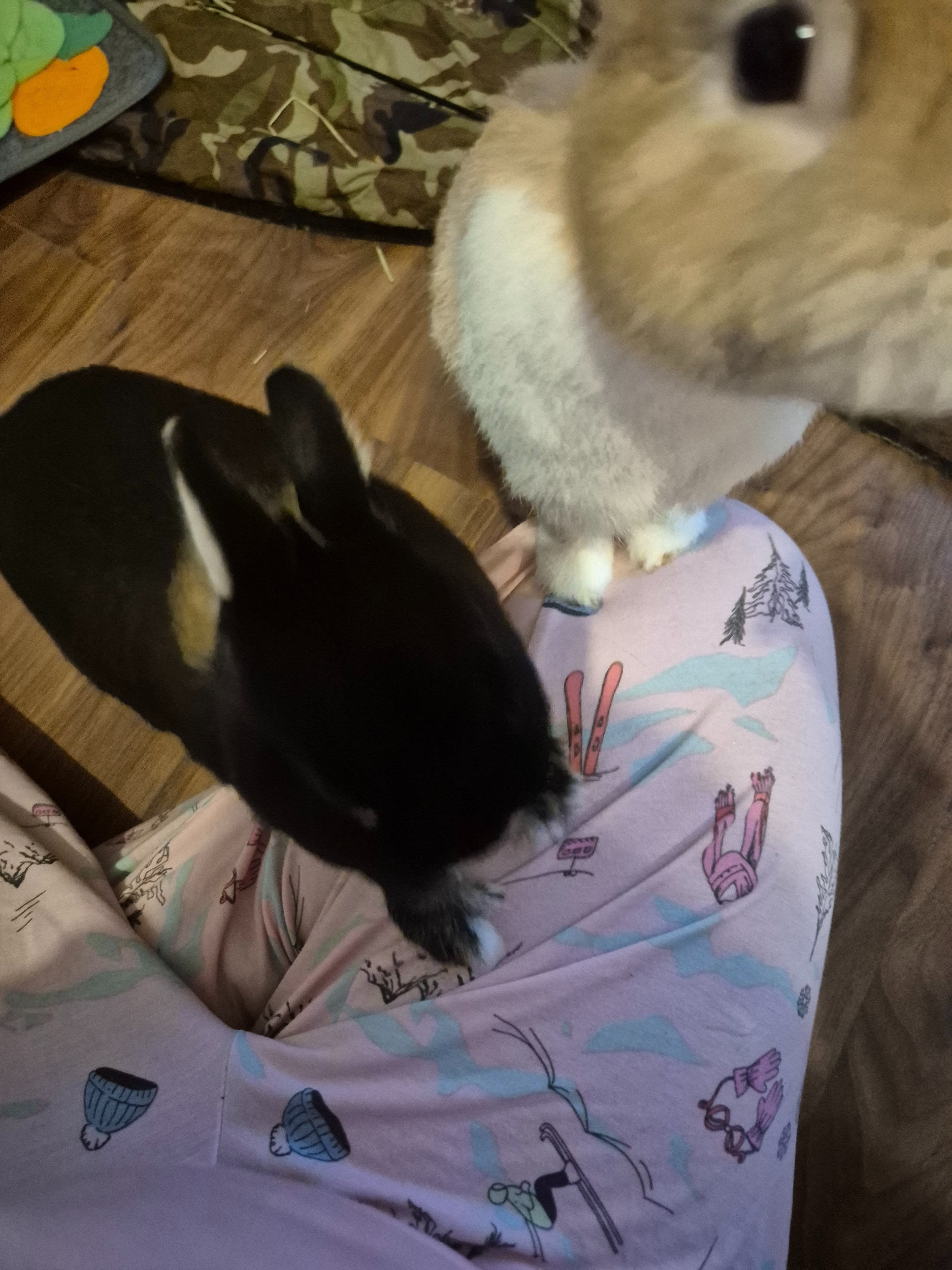 Pink petite fashion winter pyjama for short women.

#LTKPetite #LTKMidsize