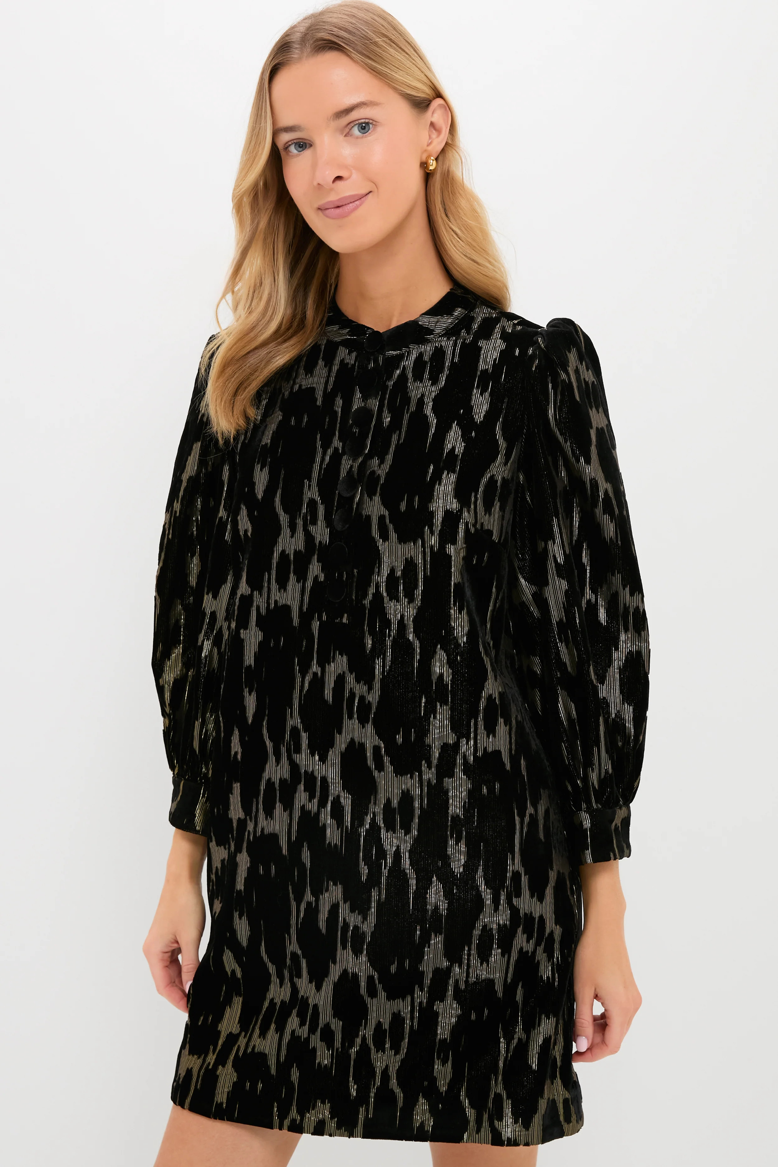 Metallic Velvet Burnout Samantha Dress | Tuckernuck (US)