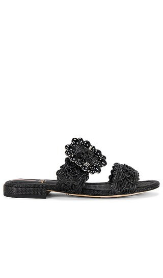 Sam Edelman Elisa Sandal in Black. - size 6.5 | Revolve Clothing (Global)