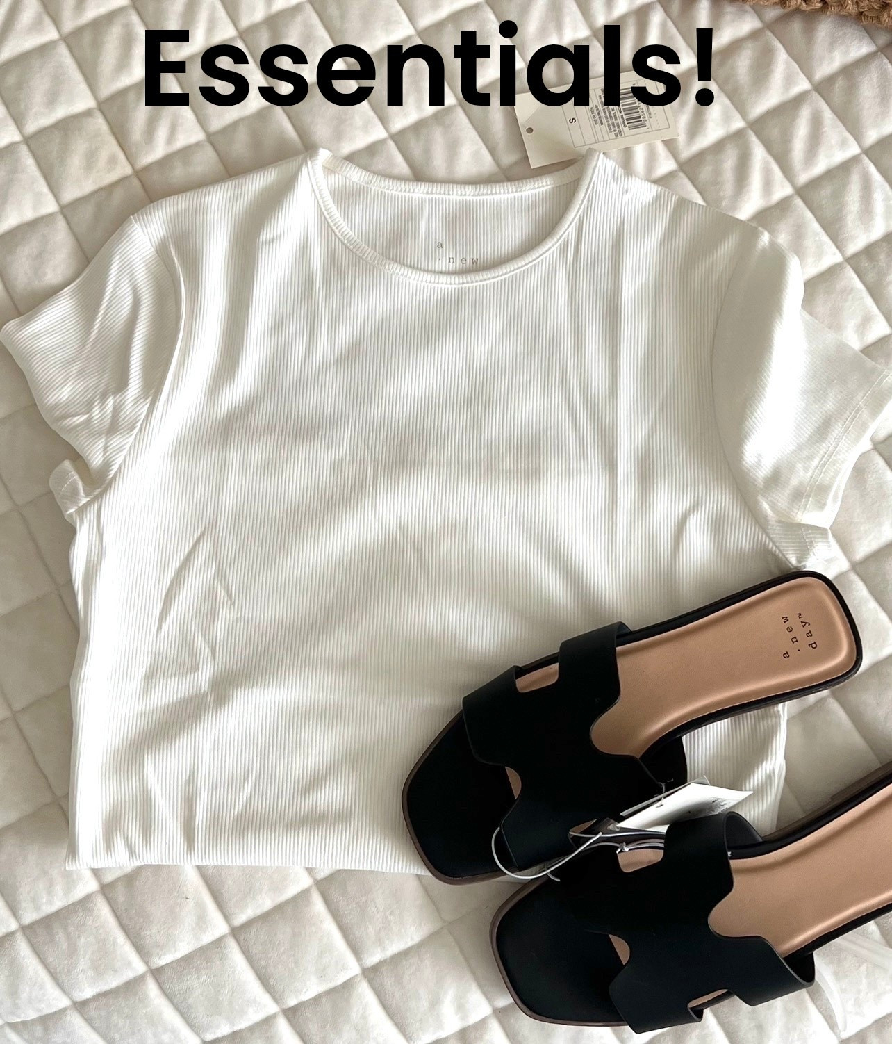 Essentials!

#LTKvlog #LTKActive #LTKPetite