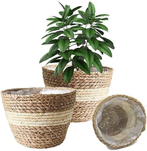 Seagrass Planter Basket Woven Plants Pots Indoor Basket Planter with Plastic Liners Decorative Fl... | Amazon (US)