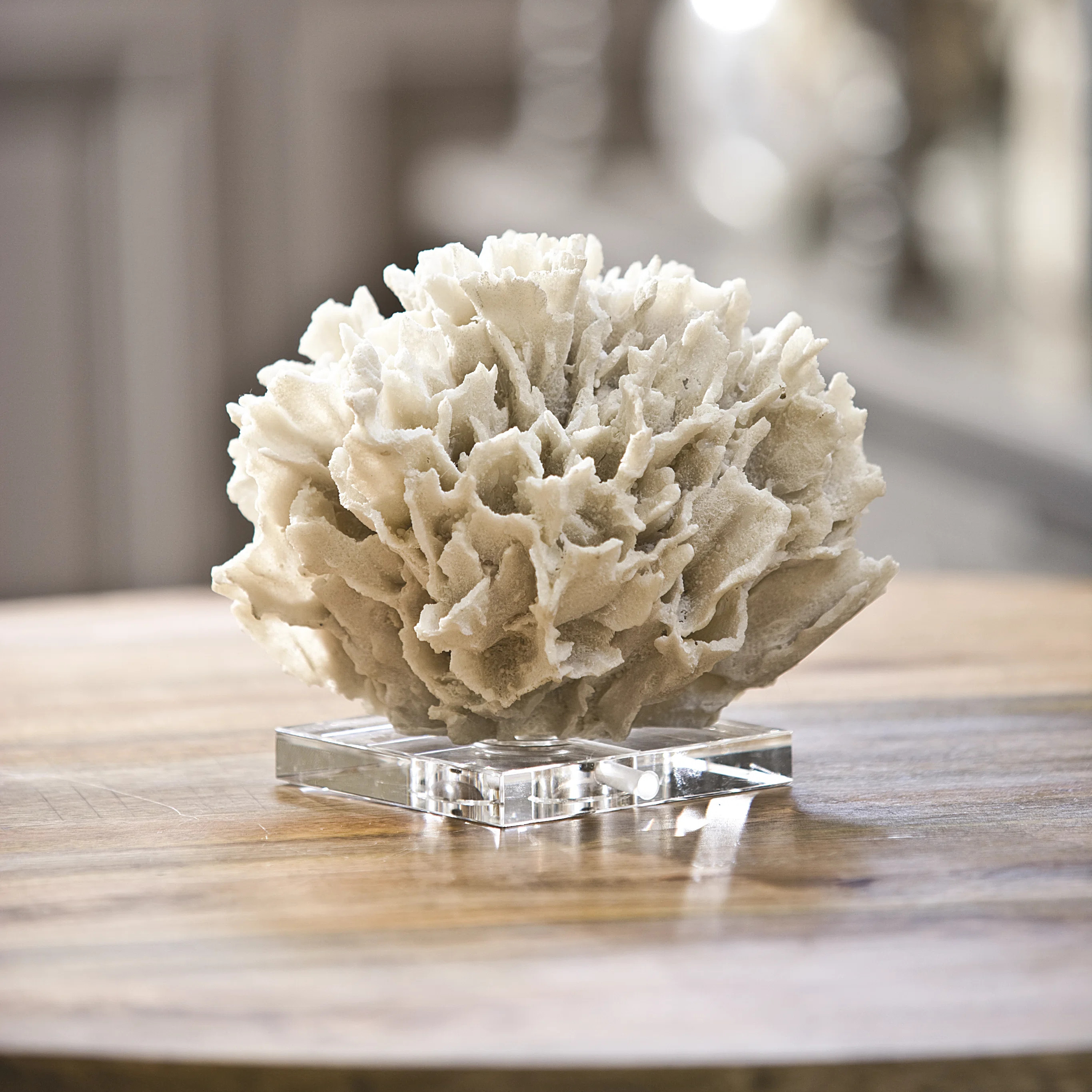 Ribbon Coral | Wayfair North America