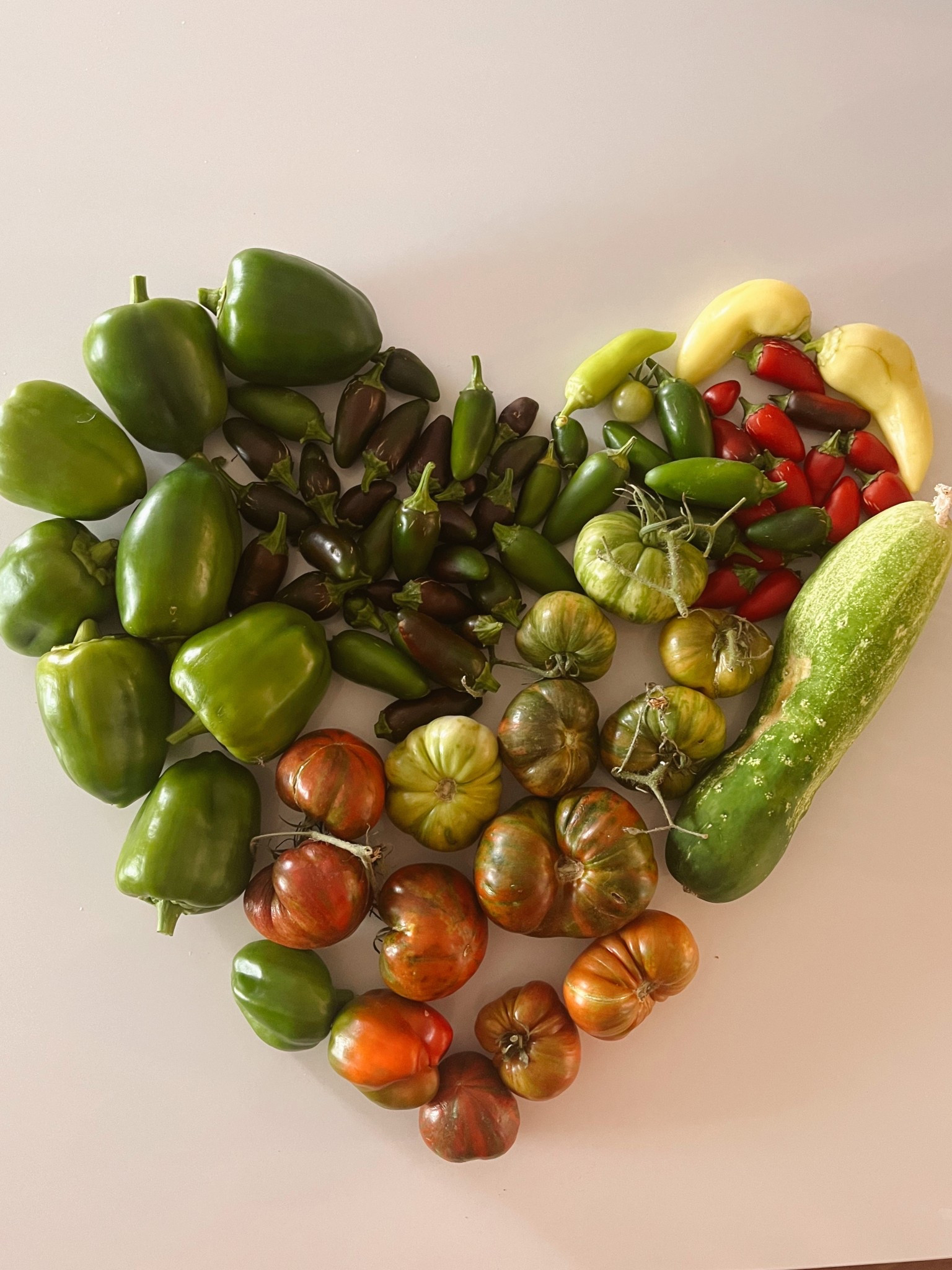 I’ve used literally everything linked here for my backyard garden in the last three years! Love them all and the seeds have been so good!

#LTKSeasonal #LTKFamily #LTKHome