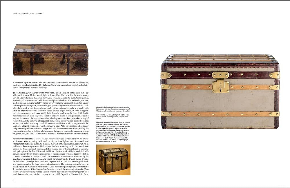 Louis Vuitton: The Birth of Modern Luxury Updated Edition | Amazon (US)